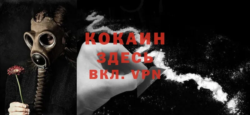 купить наркотики цена  кракен tor  Cocaine Эквадор  Удомля 